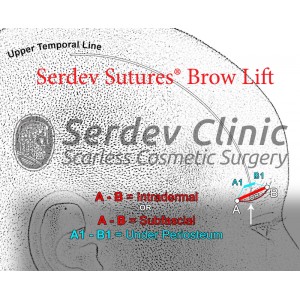 Brow Lift Instructions + Video